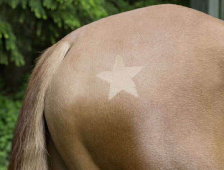 KERBL Scherschablonen-Set 3 teilig